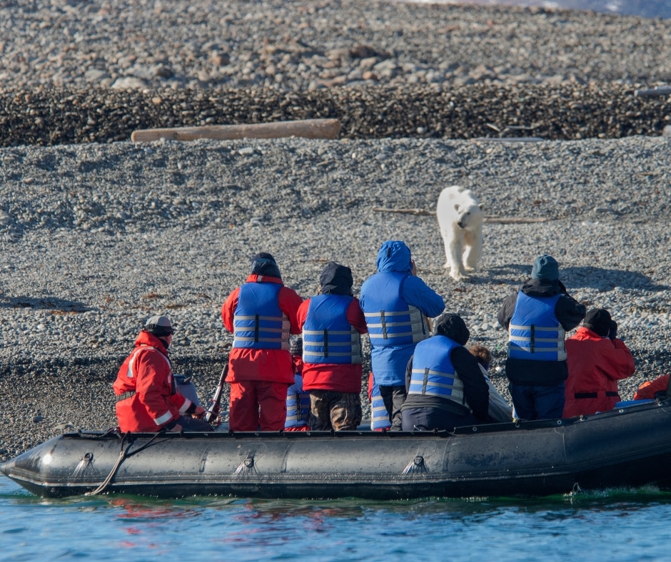 Svalbard Boat Trips (9)