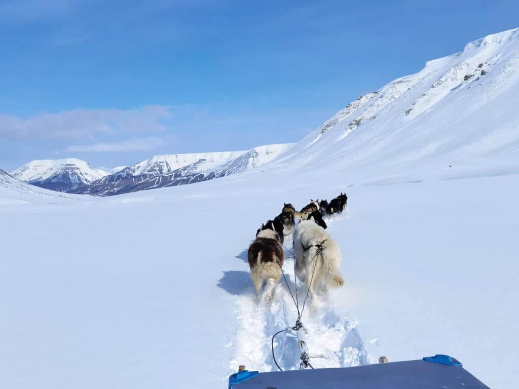 things to do in svalbard