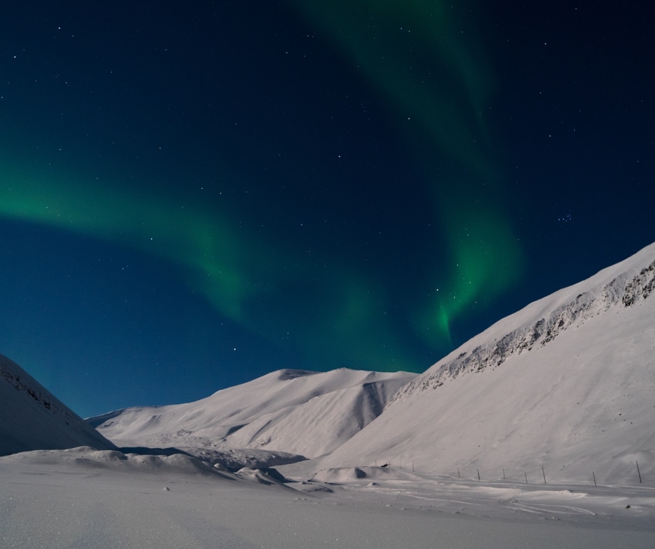 Northern Lights Tour (8)