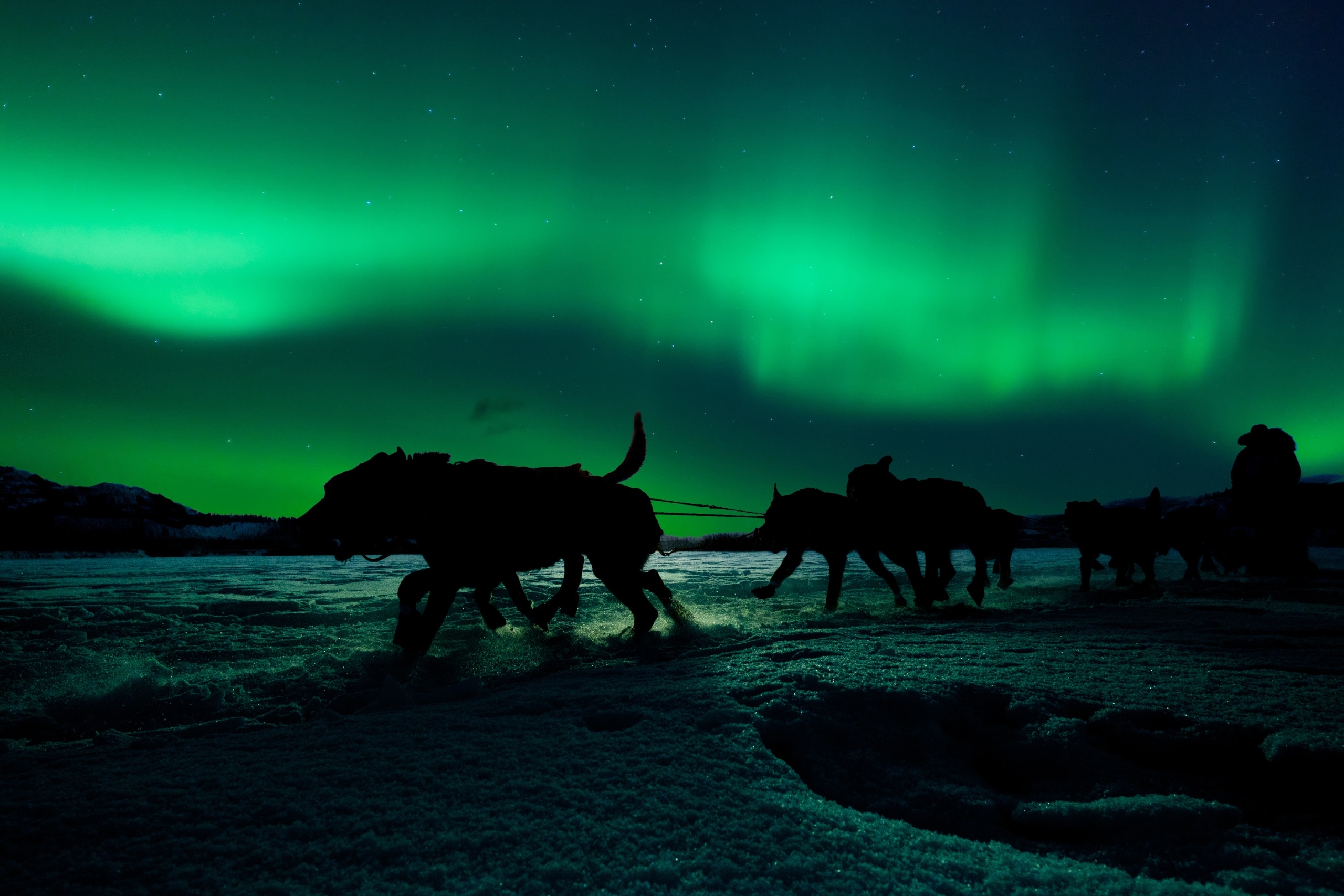 Svalbard Polar Night Tour